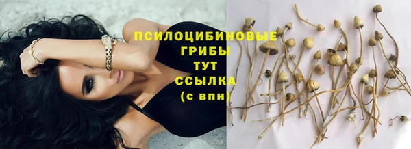 таблы Вязьма