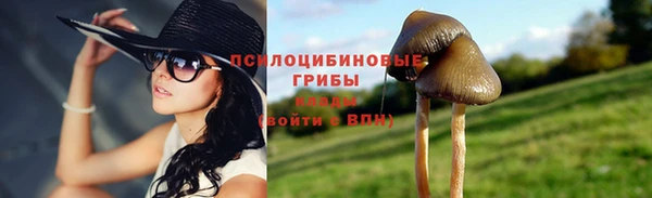 МДПВ Вязники