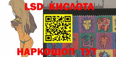 прущие крисы Кингисепп