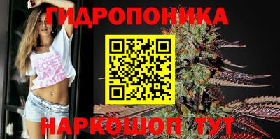 прущие крисы Кингисепп