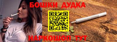 прущие крисы Кингисепп