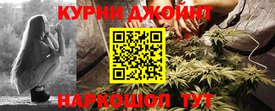 прущие крисы Кингисепп