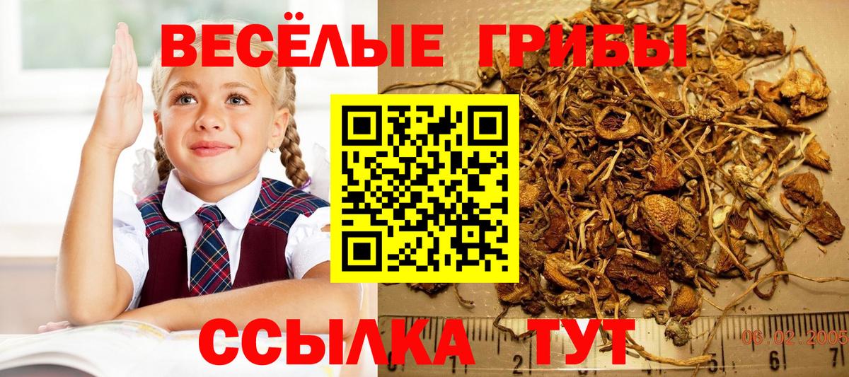 Канабис  Вход с VPN  Нурлат  Альфа ПВП СК   МЕТ  Гашиш  Гашиш  Меф   Наркошоп  COCAIN 