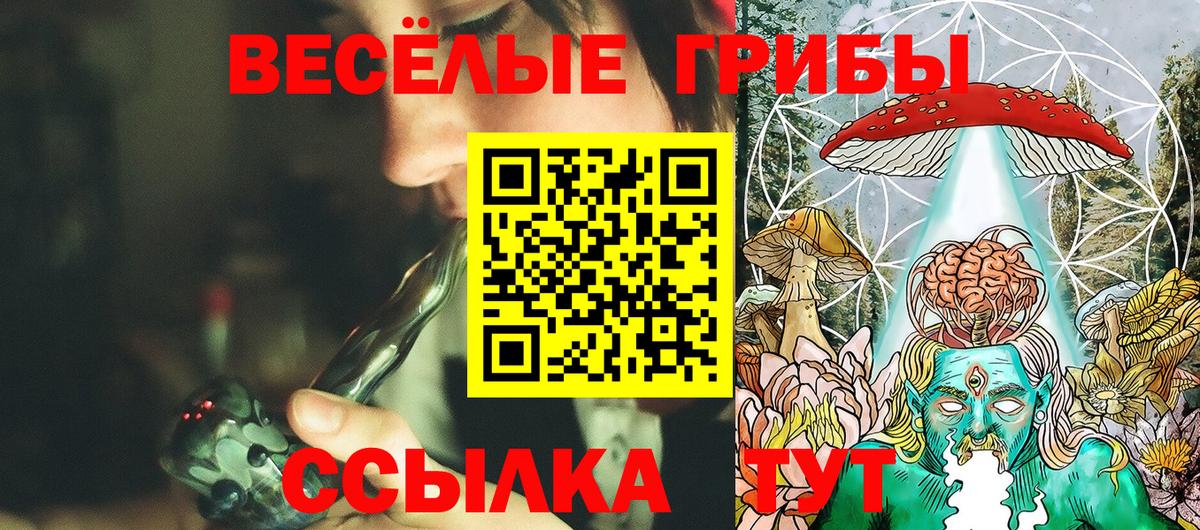 Псилоцибиновые грибы GOLDEN TEACHER Нурлат
